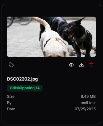 File Operations