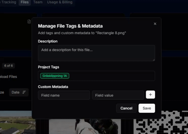 File Tags
