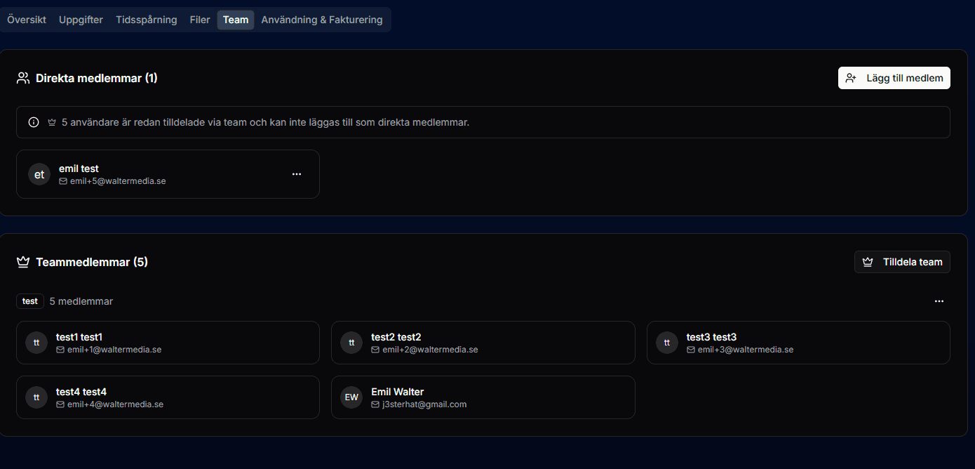 Team Management Interface